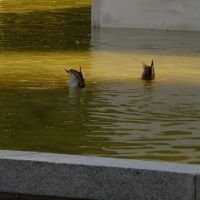 Madridi parkok 1.